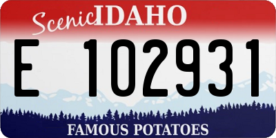 ID license plate E102931