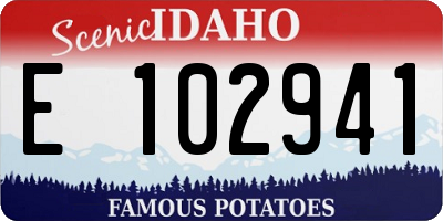 ID license plate E102941