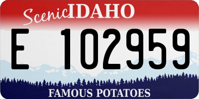 ID license plate E102959