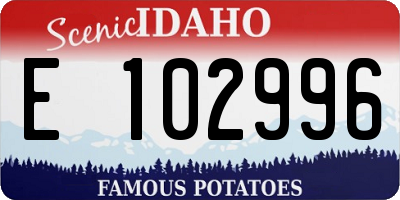 ID license plate E102996