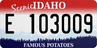 ID license plate E103009