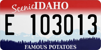 ID license plate E103013