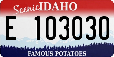 ID license plate E103030