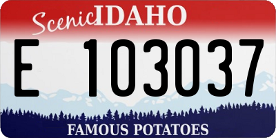 ID license plate E103037