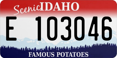 ID license plate E103046