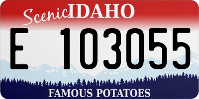 ID license plate E103055