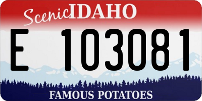 ID license plate E103081
