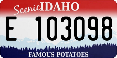 ID license plate E103098