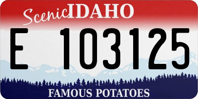 ID license plate E103125