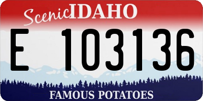 ID license plate E103136