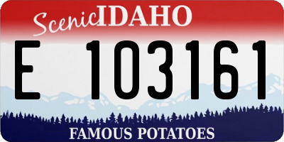 ID license plate E103161