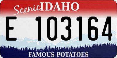 ID license plate E103164