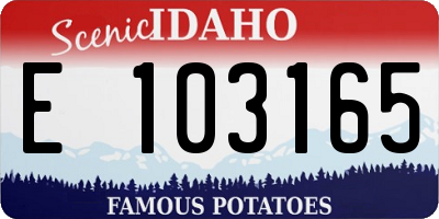 ID license plate E103165