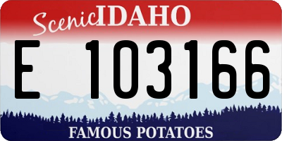 ID license plate E103166