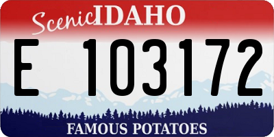 ID license plate E103172