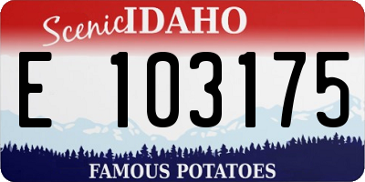 ID license plate E103175