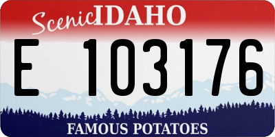 ID license plate E103176