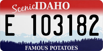 ID license plate E103182
