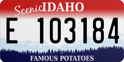 ID license plate E103184