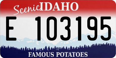 ID license plate E103195