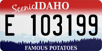 ID license plate E103199