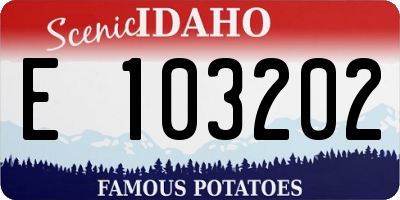 ID license plate E103202
