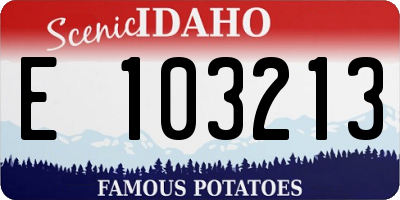 ID license plate E103213