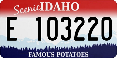 ID license plate E103220