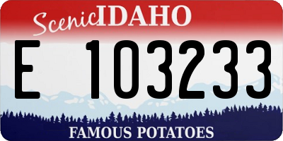 ID license plate E103233