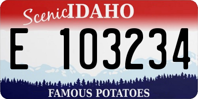 ID license plate E103234