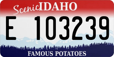 ID license plate E103239