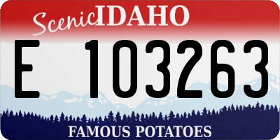 ID license plate E103263