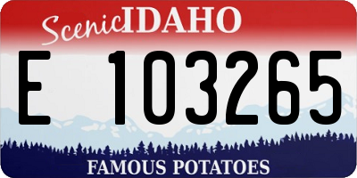 ID license plate E103265