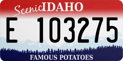 ID license plate E103275