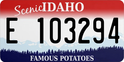 ID license plate E103294