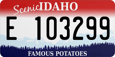 ID license plate E103299