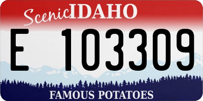 ID license plate E103309