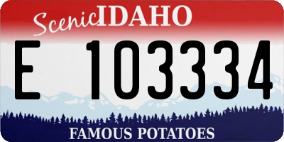 ID license plate E103334
