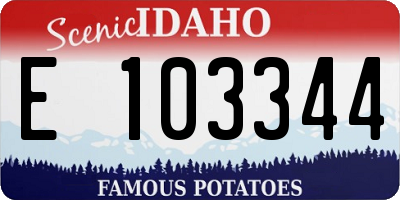 ID license plate E103344