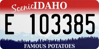 ID license plate E103385