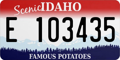 ID license plate E103435