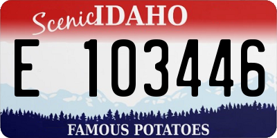 ID license plate E103446