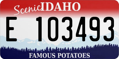 ID license plate E103493