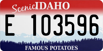 ID license plate E103596