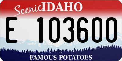 ID license plate E103600