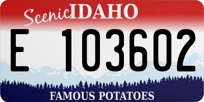 ID license plate E103602