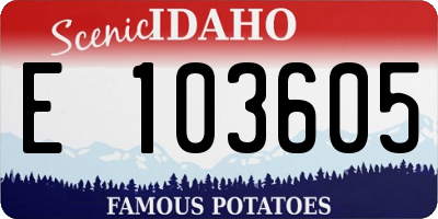 ID license plate E103605
