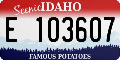 ID license plate E103607