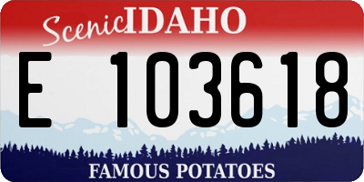 ID license plate E103618