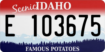ID license plate E103675
